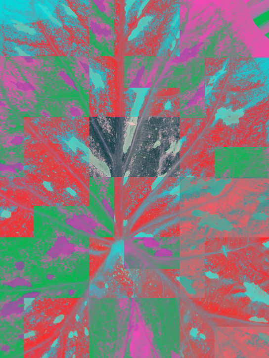 Interference 01