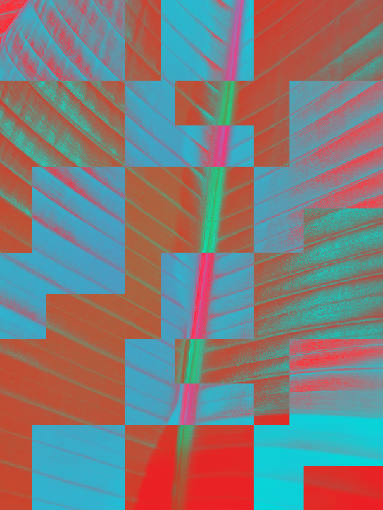 Interference 02