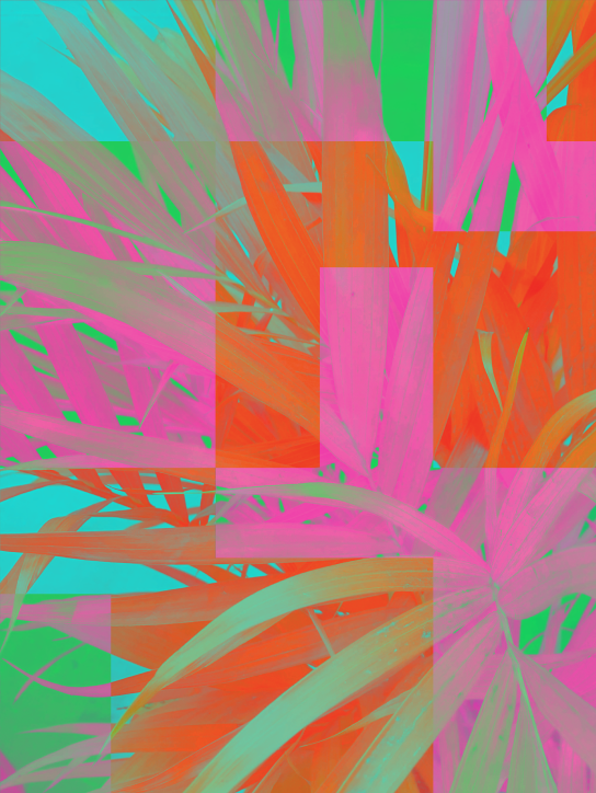 Interference 03