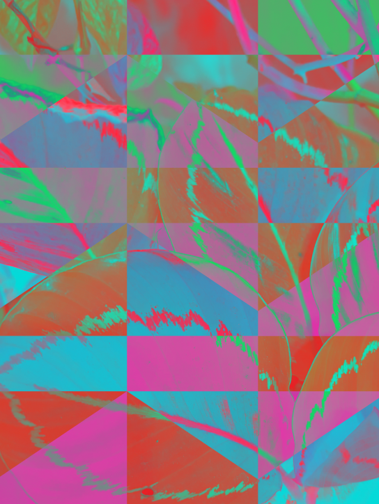 Interference 05